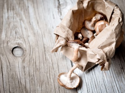 Zdrowy składnik: shitake