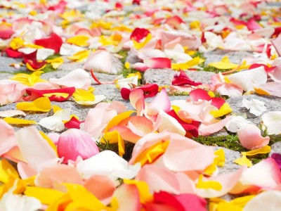 The healthy ingredient: rose petals
